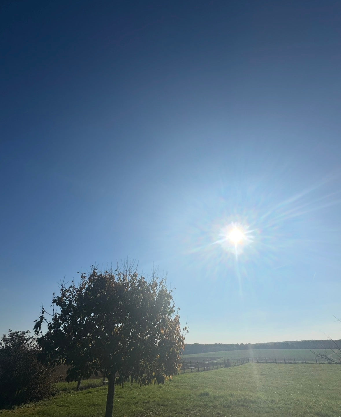 🌈 Fais Briller ta société, l'accompagnement sur mesure pour les entreprises